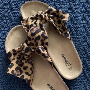 Cheetah slides